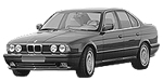 BMW E34 P243E Fault Code